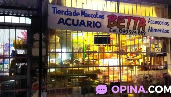 24hs Almacén - 11900 Montevideo