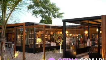 3|musas - Libreria - Maldonado