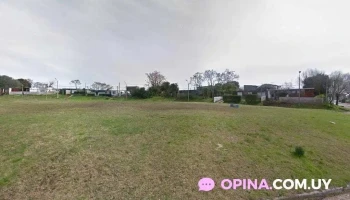 A&m Terapias Alternativas Auriculoterapia y Reiki - Montevideo A&m Terapias Alternativas Auriculoterapia y Reiki - Montevideo