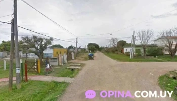 academia canaria - Joaquín Suárez