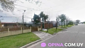 Academia De Choferes 