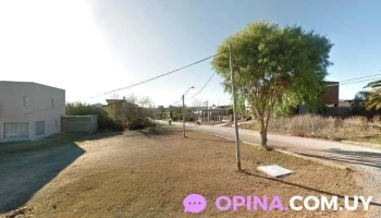 Academia de Tecnificacion Nelson Bevilacqua - Minas