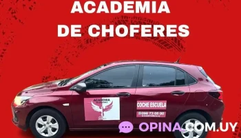 Academia Fenix - Maldonado