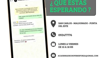 Academia Forza - San Carlos Academia Forza - San Carlos