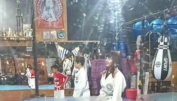 Academia Hwarang - Pando