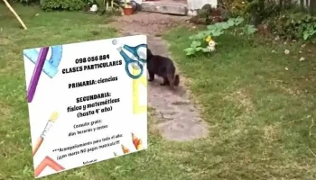 Academia K: para primaria y secundaria; web y redes para adultos; dibujo técnico; en Solymar - Ciudad De La Costa Academia K: para primaria y secundaria; web y redes para adultos; dibujo técnico; en Solymar - Ciudad De La Costa