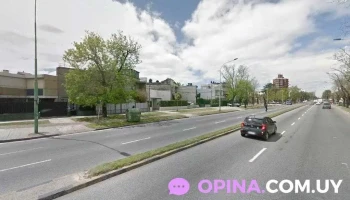 Academia Merlí - Montevideo