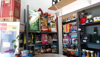 Acodike - 15500 Barros Blancos