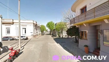Adela Plavan Inmobiliaria - Rosario