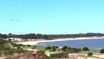 Ag. Propiedades. Inmobiliaria Rural y Urbana. - Carmelo