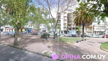 Agente Inmobiliaria Jorgelina Pricolo - Montevideo