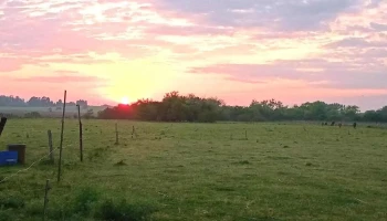 Agritegra Srl - Los Pinos - Aguas Corrientes