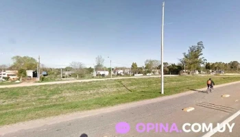 Agro Don José - 15700 Toledo