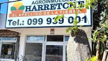 Agroinmuebles - Harretche - Los Cerrillos