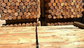 Agromadera's Srl - Sauce