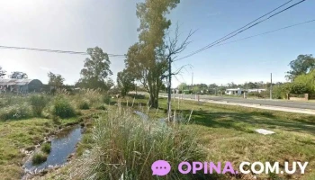 Agromercado del Sur - City Golf