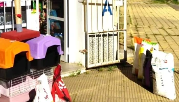 Agropecuaria Myla - 91600 San Jacinto