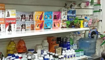 Agropecuaria San Silvestre - Camino Pajas Blancas Esquina