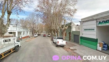 Agroventas Durazno - Zorrilla De San Martin 625