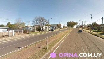 Agroveterinaria Avenida - 50000 Salto