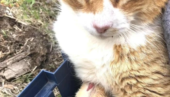 Agroveterinaria ''El Cimarrón'' - Joaquín Suárez