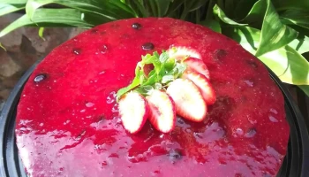 Airam - 27200 Castillos Airam - 27200 Castillos