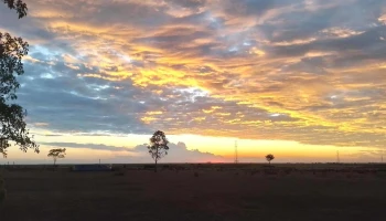 Al paso - 40000 Rivera