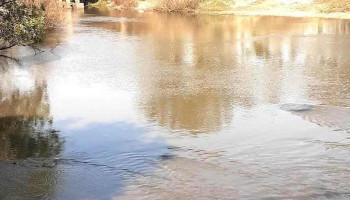 Alcaldia Minas De Corrales - Minas De Corrales Alcaldia Minas De Corrales - Minas De Corrales