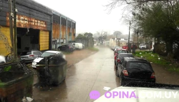 Alcalitrol Sa - 12000 Montevideo