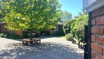 Alianza Maldonado - Punta Del Este Alianza Maldonado - Punta Del Este