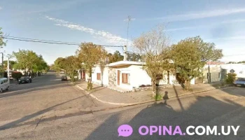 Alianza Tarariras - Tarariras