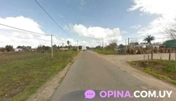 Almacén - Dr. Héctor Peluffo Almacén - Dr. Héctor Peluffo