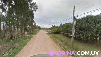 Almacén el tilo - 15700 Casarino