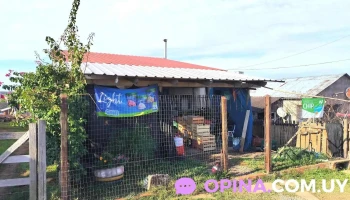 Almacén El Triunfo - 40000 Rivera