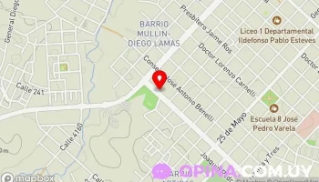 Almacen Goro Goro - 45000 Tacuarembó