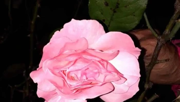 Almacen Lo De Ely - 12200 Montevideo