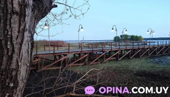 Alojamiento Zimmermann - Villa Soriano