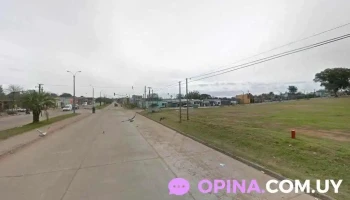 Alta facha _ samu barber - Ruta 8