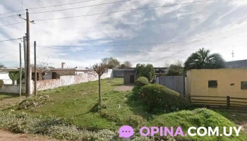 Alternativa Chuy - Chuy