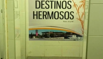 Ancap - 85000 Flores