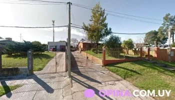 Andrea alisados y demás - 12400 Montevideo