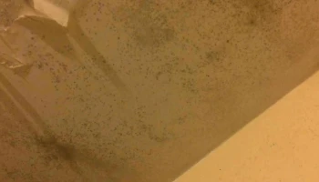 Anfil Inmobiliaria y Estudio Contable - Montevideo