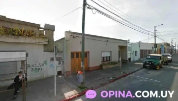 Angelica Bergara - San Carlos