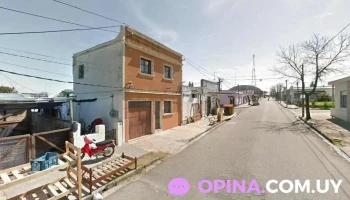 Anglo - Clara Patron - Florida