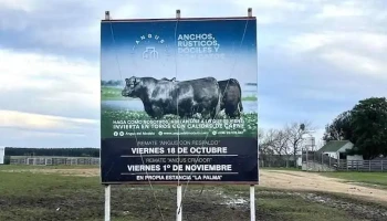 Angus del Modelo - Montevideo