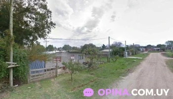 ApsiLemon - Barros Blancos