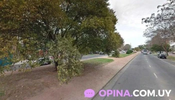 Ara Estudio - Montevideo