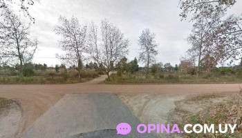 Arapy educación viva - Col. Del Sacramento