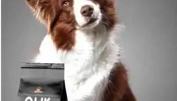 Arida Mayorista Pet - 11400 Montevideo