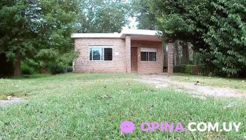 Aspen Tree School Of English - Ciudad De La Costa Aspen Tree School Of English - Ciudad De La Costa